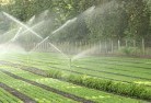 Dalcouthlandscaping-irrigation-11.jpg; ?>